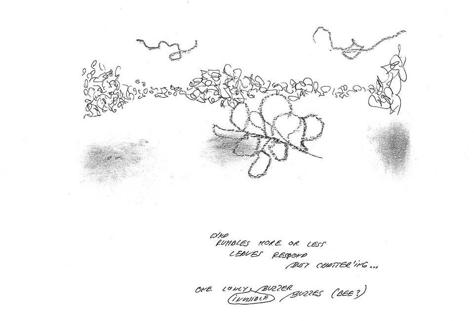 Picture of a drawing