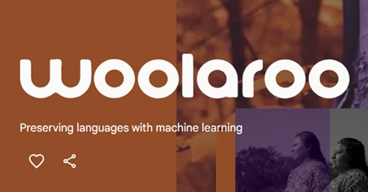 Woolaroo