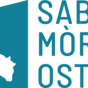 smo-logo-Teal-RGB.png